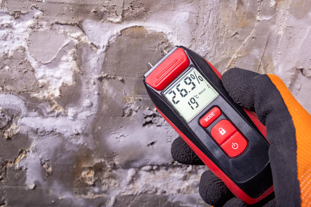 Best Mold Damage Repair  in George West, TX